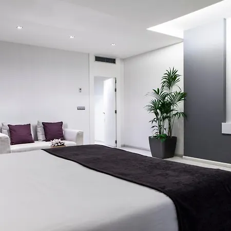 Hotell Diagonal Plaza 4*